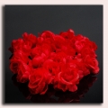 Róża główka 12 szt 4 cm Red